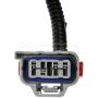 DORMAN 645-936 Rear Driver's Side Tail, Turn, Brake, And Backup Light Harness With Sockets