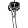 DORMAN 692-004 Fuel Sending Unit Without Pump