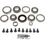 DORMAN 697-036 Ring And Pinion Master Bearing And Installation Kit