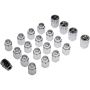 DORMAN 711-341 Chrome Acorn Set 20 Piece -  M12-1.50