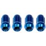 DORMAN 712-315D Blue Spline Drive Lock Set M12-1.50