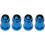 DORMAN 712-315D Blue Spline Drive Lock Set M12-1.50