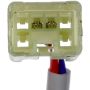DORMAN 741-356 Power Window Regulator And Motor Assembly