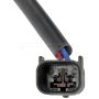 DORMAN 741-429 Power Window Regulator And Motor Assembly