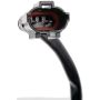 DORMAN 741-617 Power Window Regulator And Motor Assembly