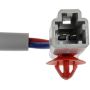 DORMAN 741-744 Power Window Regulator And Motor Assembly