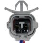 DORMAN 741-791 Power Window Regulator And Motor Assembly