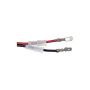 DORMAN 741-981 Power Window Regulator And Motor Assembly
