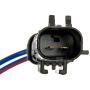 DORMAN 748-019 Power Window Regulator And Motor Assembly