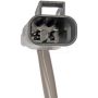 DORMAN 748-055 Power Window Regulator And Motor Assembly