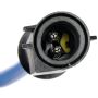 DORMAN 748-294 Power Window Regulator And Motor Assembly