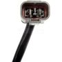 DORMAN 748-297 Power Window Regulator And Motor Assembly