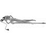 DORMAN 751-507 Power Window Regulator And Motor Assembly