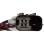 DORMAN 751-531 Power Window Regulator And Motor Assembly