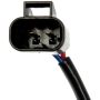 DORMAN 751-544 Power Window Regulator And Motor Assembly