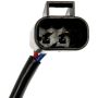 DORMAN 751-545 Power Window Regulator And Motor Assembly