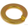 DORMAN 799-035 Split Lock Washer-Grade 5- 5/16 In