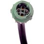DORMAN 904-7445 Diesel Particulate Filter Temperature Sensor
