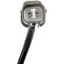 DORMAN 907-906 Magnetic Crankshaft Position Sensor