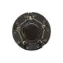 DORMAN 909-031 Wheel Center Hub Cap
