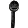 DORMAN 917-766 Magnetic Crankshaft Position Sensor