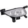 DORMAN 923-818 Fog Lamp Assembly
