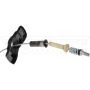 DORMAN 925-510 Spare Tire Hoist Assembly
