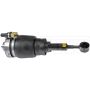 DORMAN 949-273 Air Suspension Air Strut Assembly