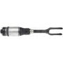 DORMAN 949-351 Air Spring And Shock Assembly