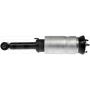 DORMAN 949-456 Air Suspension Strut Assembly