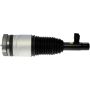 DORMAN 949-464 Air Suspension Strut
