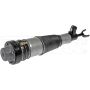 DORMAN 949-633 Air Suspension Air Strut Assembly