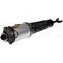 DORMAN 949-634 Air Suspension Air Strut Assembly