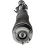 DORMAN 949-636 Air Suspension Strut Assembly
