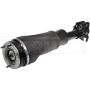 DORMAN 949-636 Air Suspension Strut Assembly