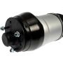DORMAN 949-848 Air Suspension Air Strut Assembly
