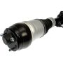 DORMAN 949-849 Air Suspension Air Strut Assembly