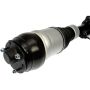 DORMAN 949-849 Air Suspension Air Strut Assembly