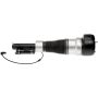 DORMAN 949-854 Air Suspension Air Strut Assembly