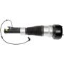 DORMAN 949-854 Air Suspension Air Strut Assembly