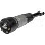DORMAN 949-856 Air Suspension Air Strut Assembly