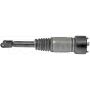 DORMAN 949-856 Air Suspension Air Strut Assembly