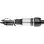 DORMAN 949-863 Air Suspension Air Strut Assembly