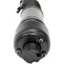 DORMAN 949-863 Air Suspension Air Strut Assembly