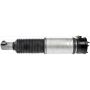 DORMAN 949-876 Air Suspension Air Strut Assembly