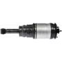 DORMAN 949-889 Air Suspension Air Strut Assembly