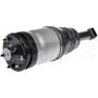 DORMAN 949-889 Air Suspension Air Strut Assembly