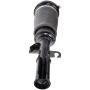 DORMAN 949-965 Air Suspension Strut Assembly