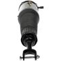 DORMAN 949-971 Air Suspension Air Strut Assembly