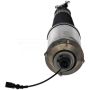 DORMAN 949-971 Air Suspension Air Strut Assembly